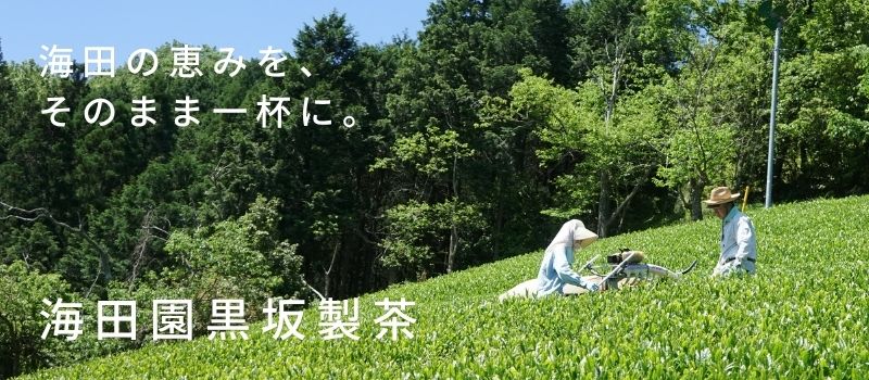 海田園黒坂製茶