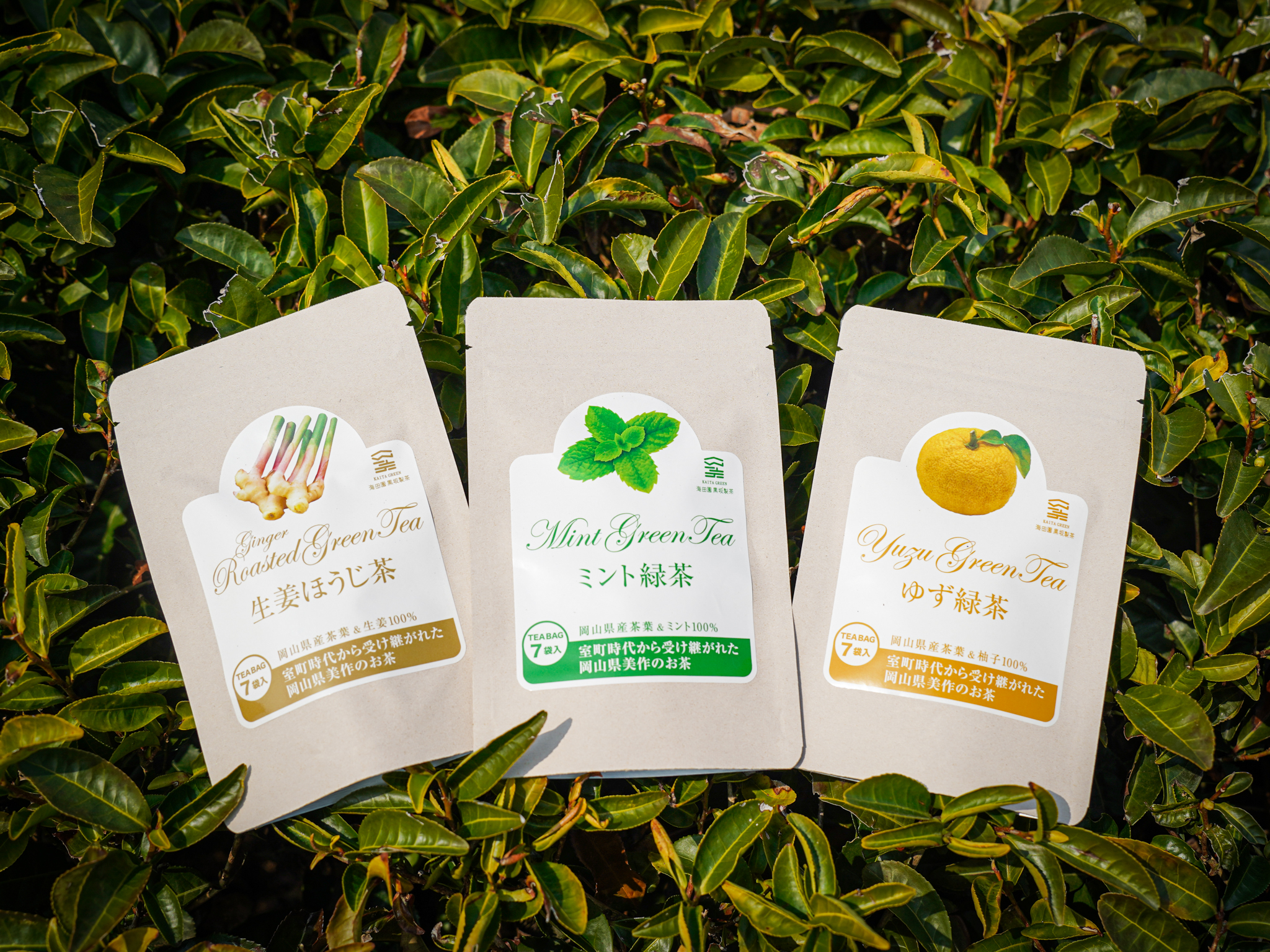 海田園黒坂製茶 | 岡山・瀬戸内グルメと特産品通販サイト｜たまルンMALL