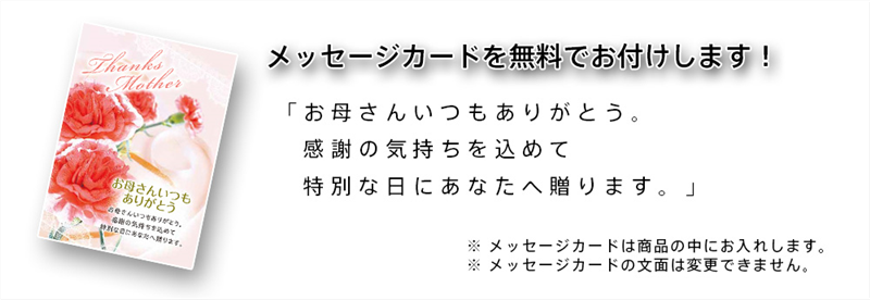 母の日ギフト・誕生日プレゼント 梅酒早春二本セット（送料込み、メッセージカード付き）【宮下酒造】