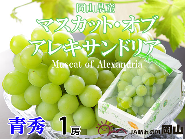 ぶどう マスカット オブ アレキサンドリア 青秀 1房 岡山県産 | ネットでおさんぽショッピング-たまルンMALL-