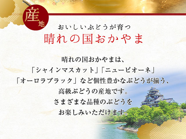 ぶどう シャインマスカット ジュエルセレクション 岡山県産 特秀 20粒入り | ネットでおさんぽショッピング-たまルンMALL-