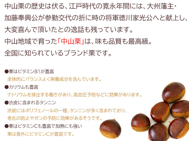 栗 中山栗 生栗 4L～3Lサイズ 愛媛県産 JAえひめ中央 | ネットでおさんぽショッピング-たまルンMALL-