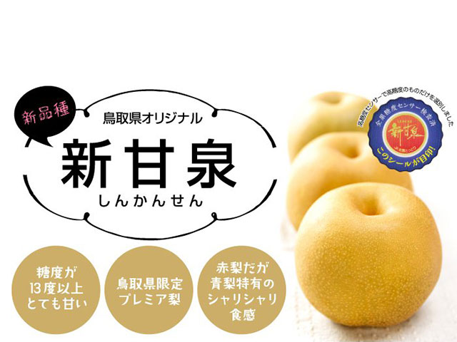 梨 新甘泉 しんかんせん 6L～5Lサイズ 7～10玉 5kg 鳥取県産 ＪＡ鳥取中央 | ネットでおさんぽショッピング-たまルンMALL-