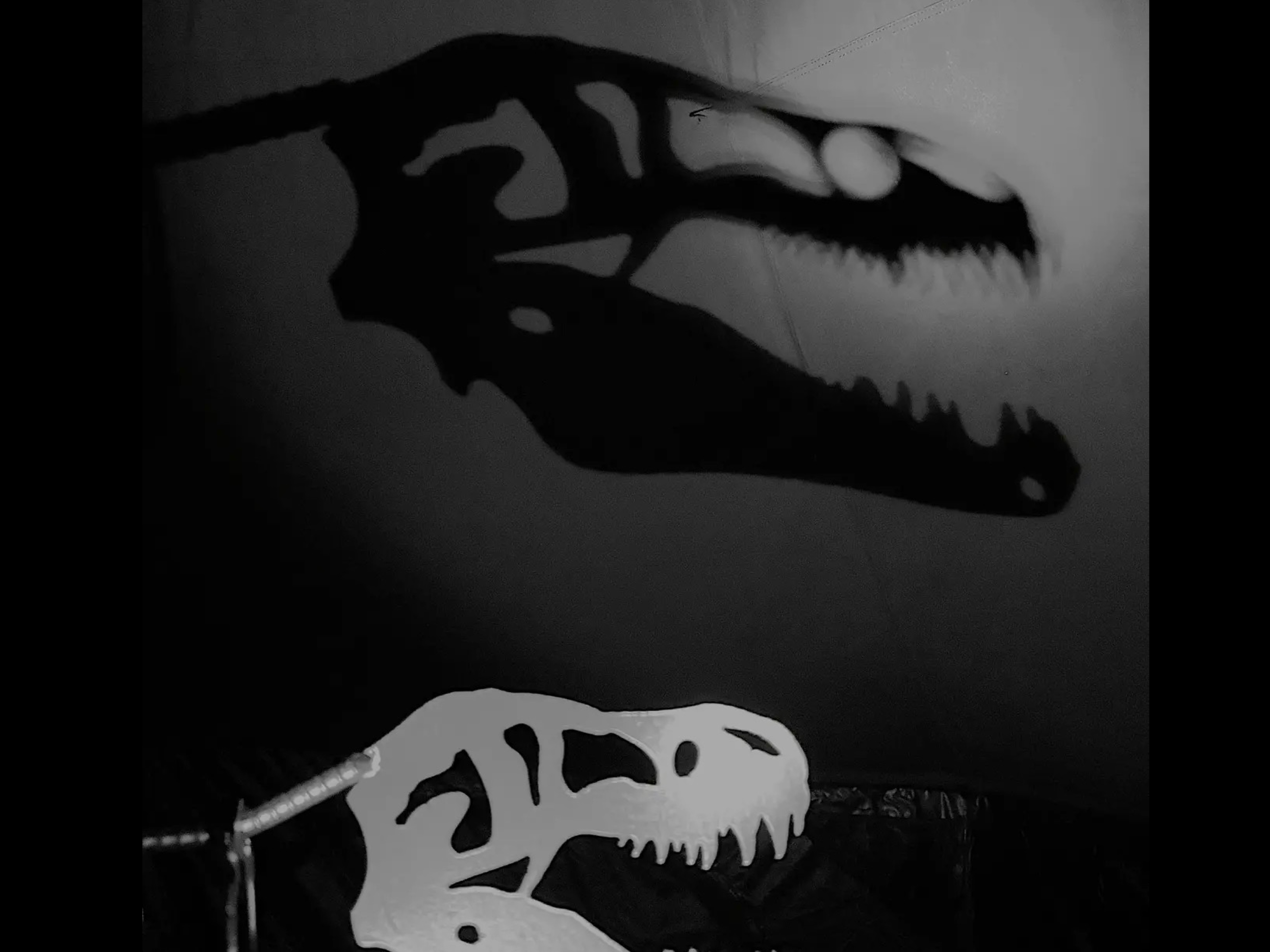 アニマルランタンフック ティラノ