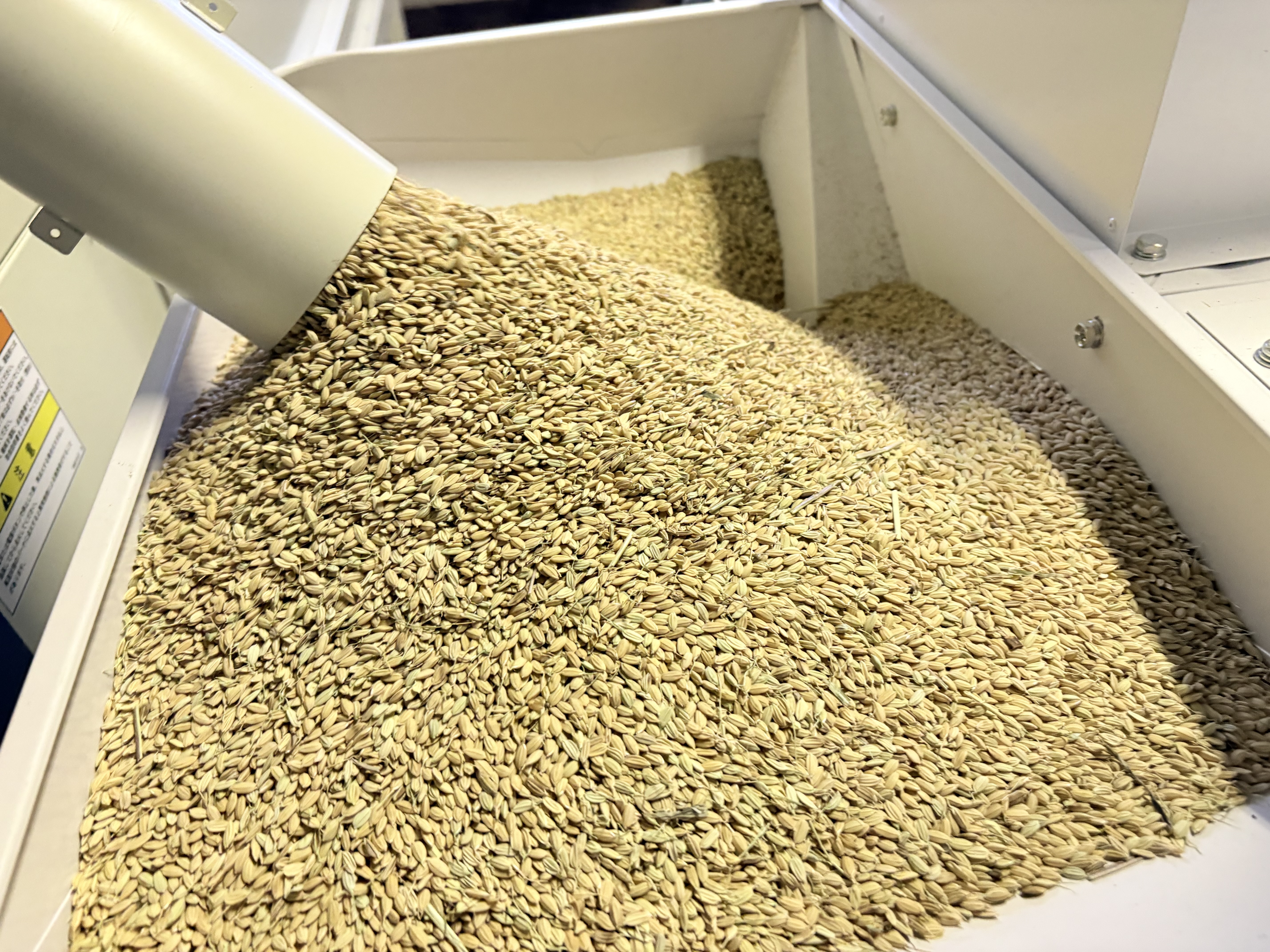 棚田で育てたコシヒカリ（玄米5kg）【送料無料】
