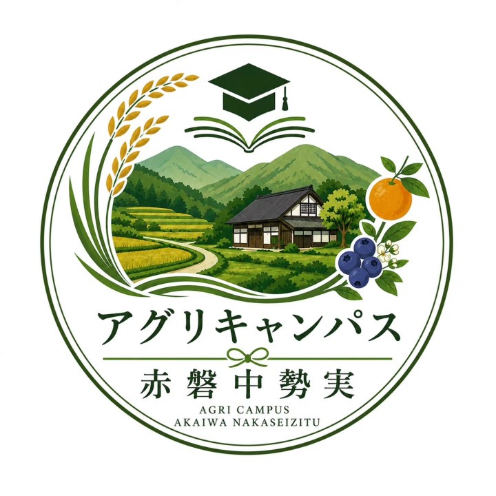 棚田で栽培されたコシヒカリ（精米5kg）【送料無料】
